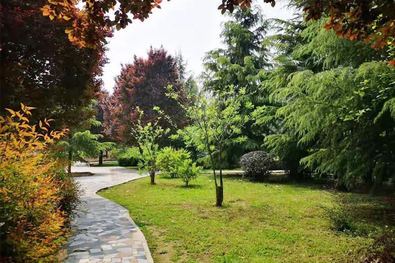 20210821_101301_012.jpg 20210821_101301_012.jpg