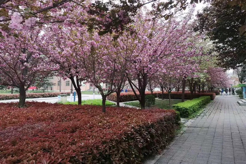 20210821_101301_013.jpg 20210821_101301_013.jpg