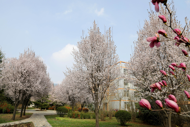 9N1A6245.JPG 9N1A6245.JPG