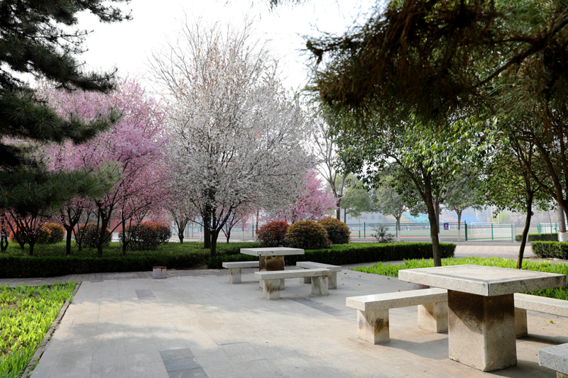 9N1A6416.JPG 9N1A6416.JPG