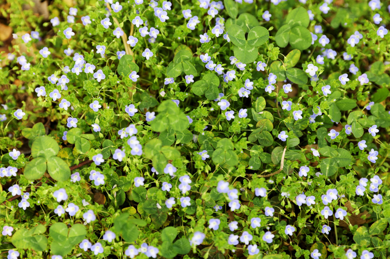 9N1A7145.JPG 9N1A7145.JPG