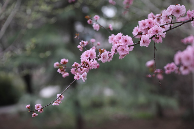 9N1A7505.JPG 9N1A7505.JPG