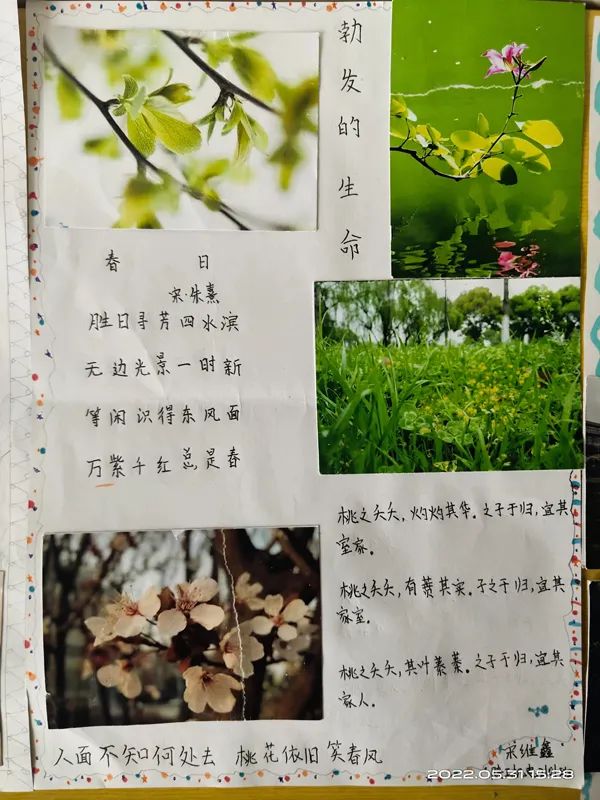 20220613_170146_005.jpg 20220613_170146_005.jpg