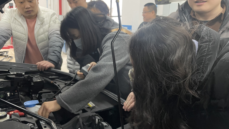 image003.jpg image003.jpg